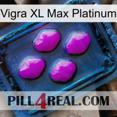 Vigra Xl Max Platinum 04